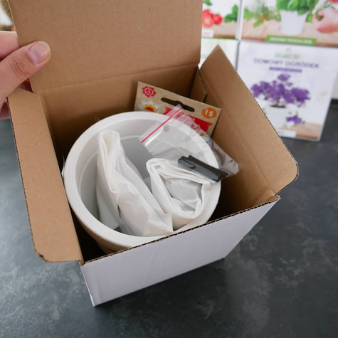 Zestaw do uprawy Żywe kamienie szczęścia sukulenty Zestaw DIY