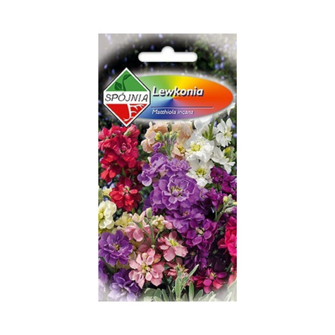 Lewkonia letnia mix 0,5g Spójnia