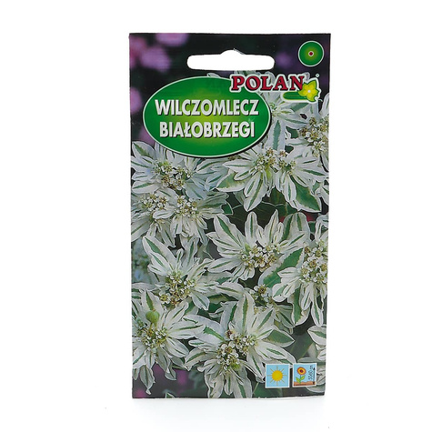 Wilczomlecz białobrzegi 1g Polan