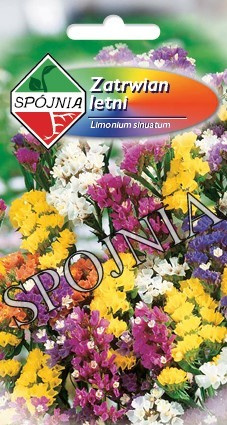 Zatrwian letni mix - nasiona ocierane 0,2g Spójnia