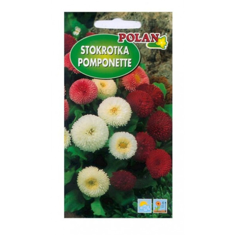 Stokrotka POMPONETTE ZESTAW KOLORÓW 0,2G