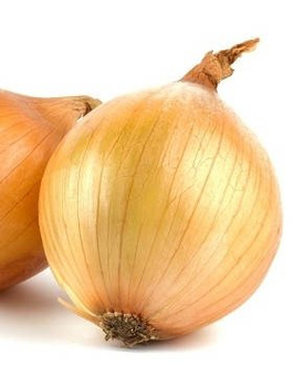 Cebula żółta Wolska średniopóźna 100g