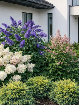 Zestaw Ogród Marzeń