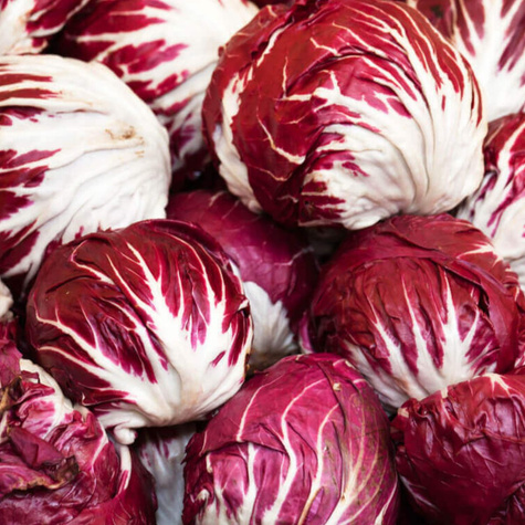 Cykoria liściowa Palla Rossa 5 0,5g