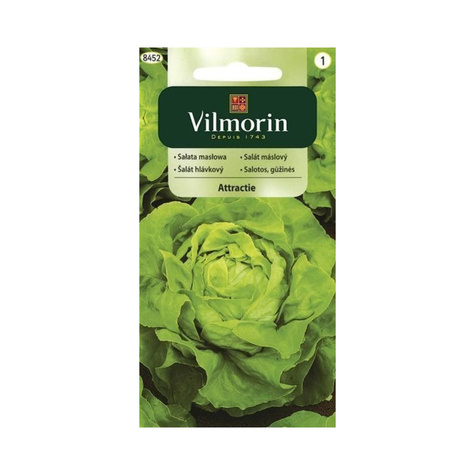 Sałata masłowa Attractie całoroczna 1g