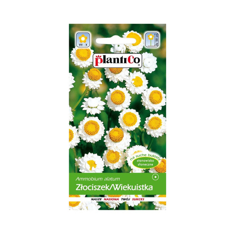 Wiekuistka Złociszek mieszanka 1g