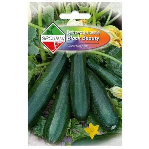 Dynia zwyczajna Black Beauty 5g