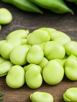 Bób Bartom śr. wczesny 50+10 g