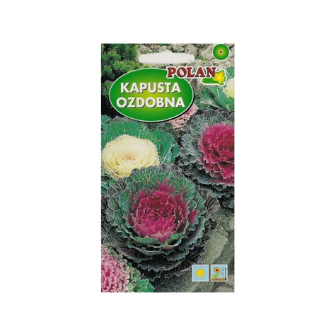 Kapusta ozdobna mieszanka 0,5g