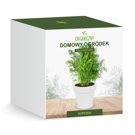 Zestaw do uprawy Koper Koperek zioła na parapet
