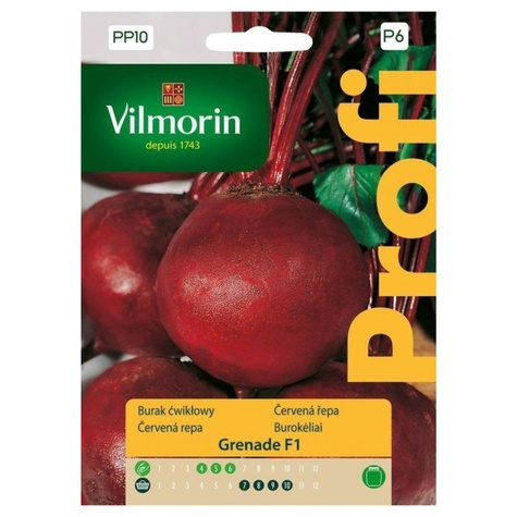 Burak ćwikłowy Grenade F1 6g