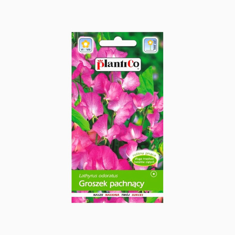 Groszek pachnący różowy 2g Plantico