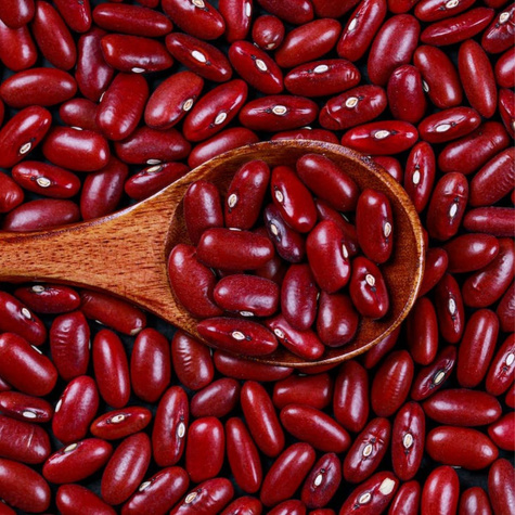 Fasola karłowa na suche ziarno WAWELSKA 20g