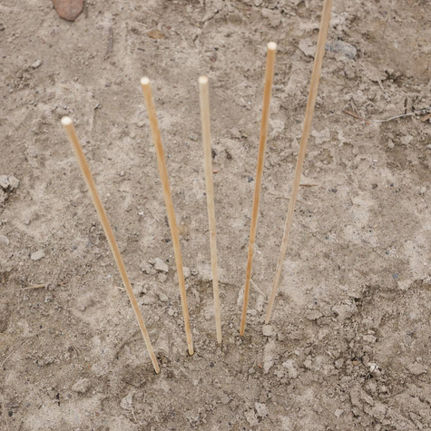 Tyczka bambusowa obrabiana dł. 60cm, gr. 6mm