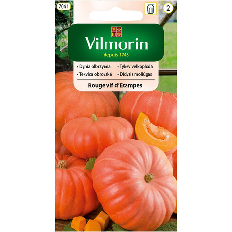 Dynia zwyczajna olbrzymia Rouge Vif d' Etampes 3g