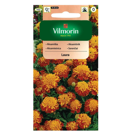 Aksamitka rozpierzchła pełna Laura 1g