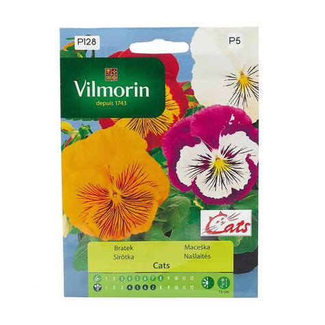 Bratek Fiołek ogrodowy szwajcarski Cats 10szt mieszanka
