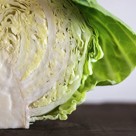 Kapusta głowiasta biała Sława z Gołębiewa 10g