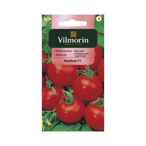 Pomidor gruntowy wysoki Harzfeuer F1 0,3g