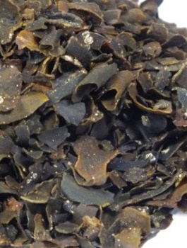 Morszczyn pęcherzykowaty 100g suszony