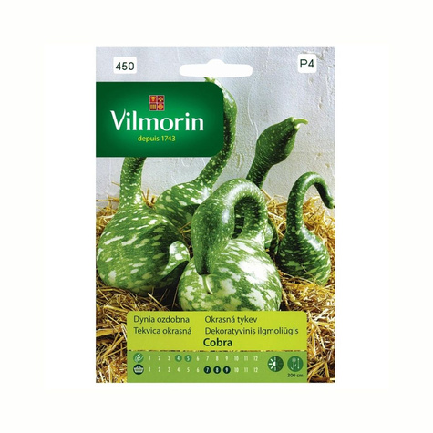 Dynia ozdobna Tykwa Cobra 5szt