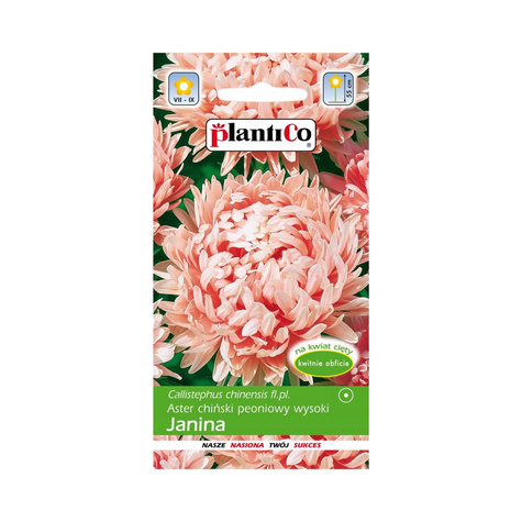 Aster chiński peoniowy wysoki Janina łososiowy 1 g
