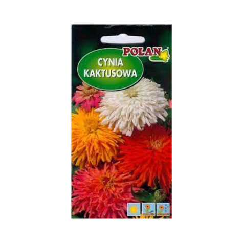 Cynia kaktusowa mix kolorów 1g