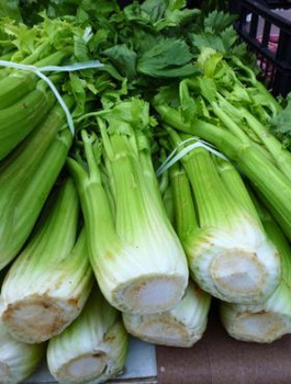 Seler naciowy Zefir 0,5 g