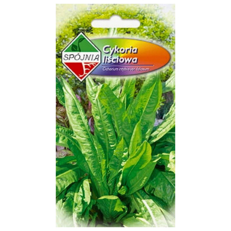 Cykoria Cykoria liściowa 5g