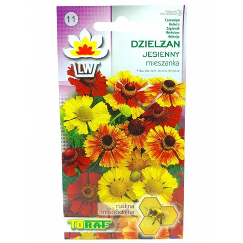 Dzielżan jesienny Helenium autumnale 0,1g