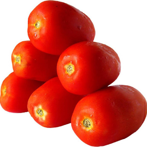 Pomidor Scatolone 2 0,5g