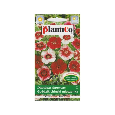 Goździk chiński mieszanka Plantico1g