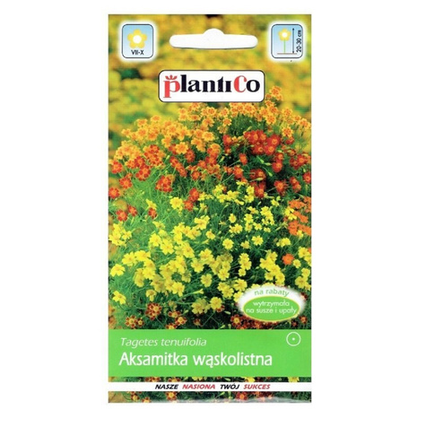 Aksamitka wąskolistna mix 0.5g Plantico