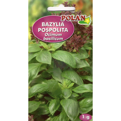 Bazylia pospolita zielona 1g