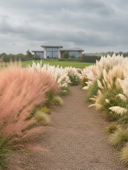 Zestaw Królestwo Traw 