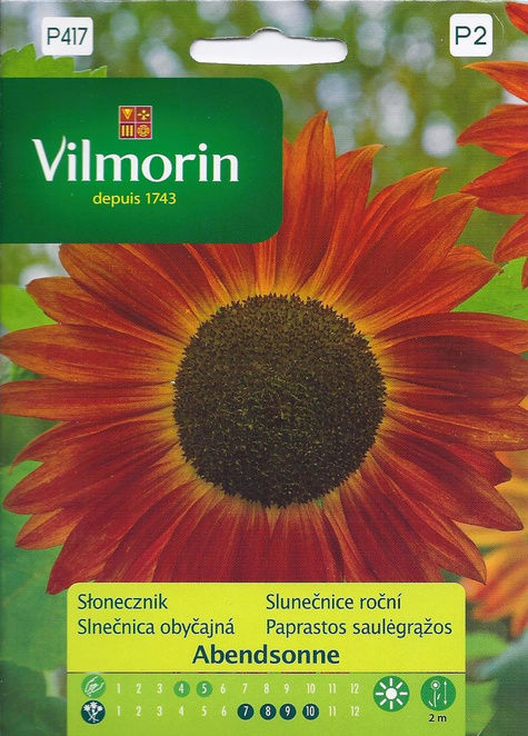 Słonecznik ozdobny Abendsonne 0,5g