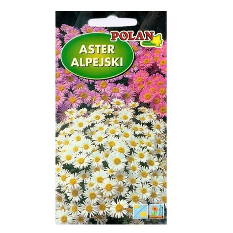 Aster alpejski mieszanka kolorów 0,5g Polan