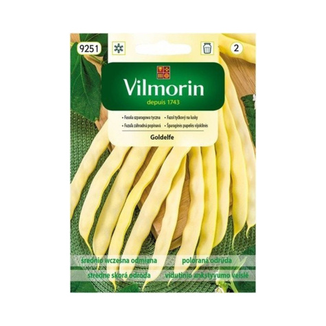 Fasola szparagowa żółtostrąkowa tyczna bezłykowa Goldelfe 10g