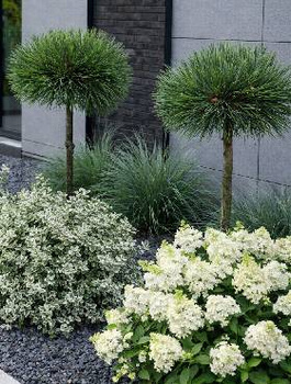 Zestaw Nowoczesny Akcent Ogrodu