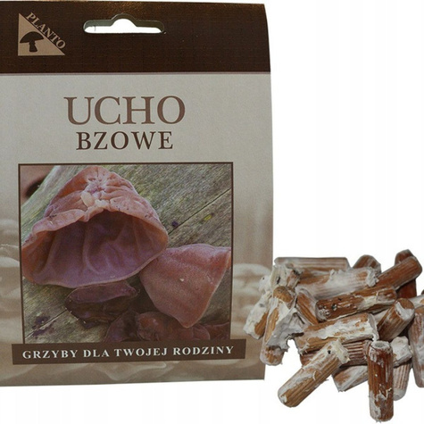 Grzybnia na kołkach Uszak Ucho bzowe 20szt.