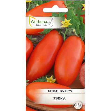 Pomidor karłowy do gruntu Zyska 0,5g