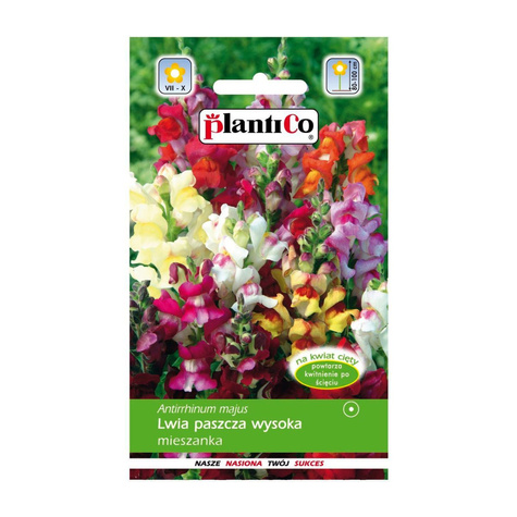 Lwia Paszcza wysoka mieszanka Wyzlin 0,5 g Plantico