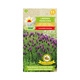Lawenda francuska 0,1g