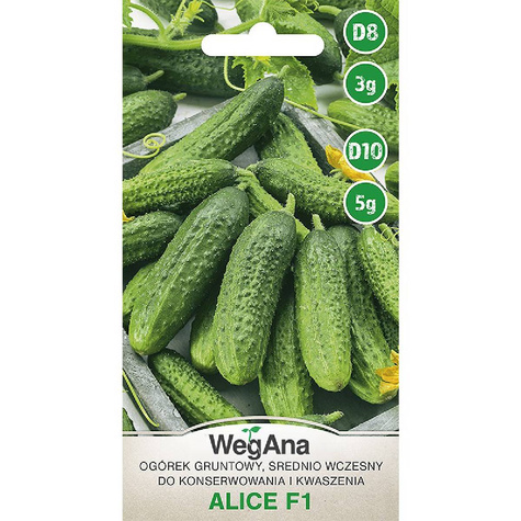 Ogórek konserwowy Alice mieszaniec F1 3g WegAna