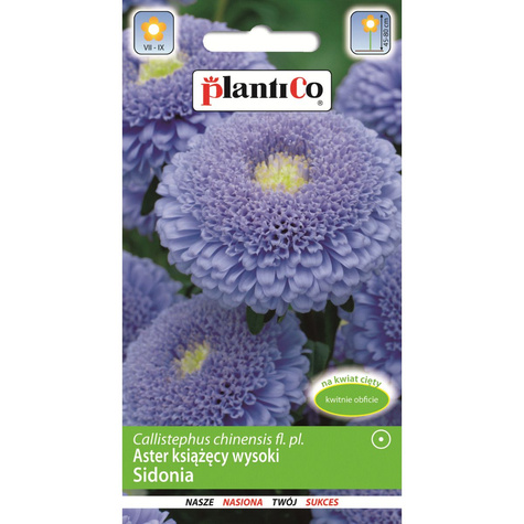 Aster chiński książęcy wysoki Sidonia niebieski 1g