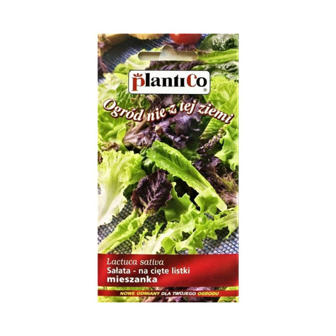 ZESTAW ALLEGRO Sałata siewna na cięte listki mieszanka 1 g