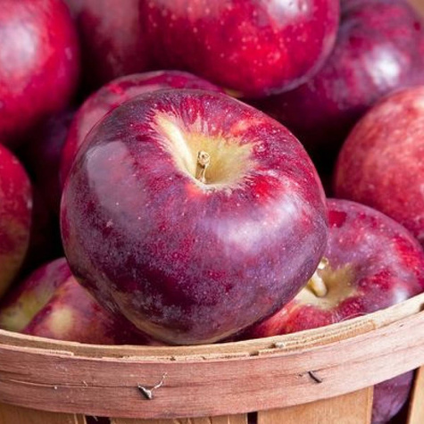 Jabłoń Dark Ligol w doniczce C2