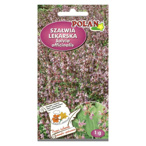 Szałwia lekarska 1g