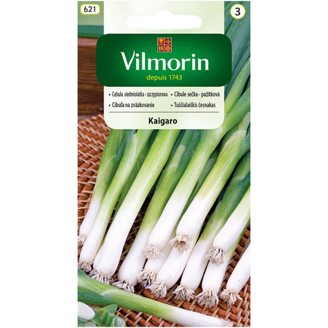 Cebula siedmiolatka Kaigaro zimowa szczypiorowa 2g