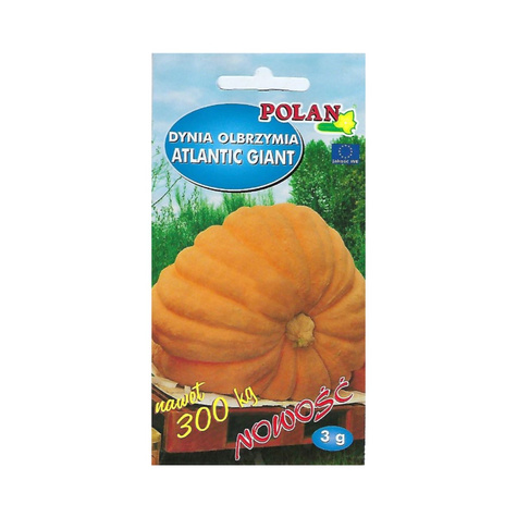 Dynia olbrzymia ATLANTIC GIANT 3g
